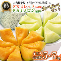 タカミレッド（赤肉）・タカミメロン（青肉）食べ比べ 2色 セット 合計4玉入り（約5kg～7kg）【2026年6月上旬以降発送】  期間限定 産地直送 農家直送 果物 フルーツ メロン タカミ たかみ 貴味 レッド 甘い 4玉 [BU003ya]