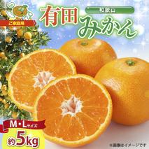 ZJ6083_【2025年先行予約】ご家庭用　和歌山 有田みかん 約5kg (M、Lサイズ)【湯浅町】