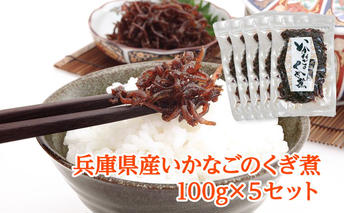 兵庫県産 いかなごのくぎ煮 100g×5セット 