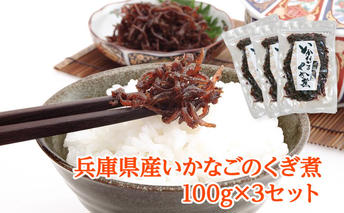 兵庫県産 いかなごのくぎ煮 100g×3セット 