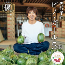 【 先行予約 2026年7月下旬以降発送 】 小玉 スイカ ピノ・ガール 5玉 優以上 NONAKA HIROSHI FARM すいか 西瓜 数量限定 甘い 夏 果物 旬 [AX030ya]
