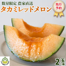 【 令和8年産 】【 先行予約 】タカミレッドメロン 秀品 1箱 2玉入り 飯岡 メロン 貴味 タカミ 赤肉 果物 フルーツ 甘い [CG002ya]