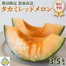 【 令和8年産 】【 先行予約 】 タカミレッドメロン 秀品 1箱 3玉～5玉入り 飯岡 メロン 貴味 タカミ 赤肉 果物 フルーツ 甘い [CG001ya]