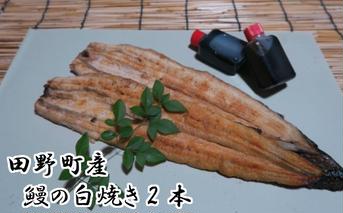 田野町産うなぎの白焼き（大）2本　タレ付き 山椒付き うなぎ 鰻 ウナギ 白焼 無頭 おいしい 国産 個包装 お取り寄せ 冷凍 配送