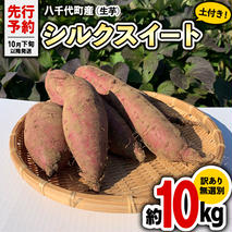 訳あり 無選別 熟成 農家直送 八千代町産 シルクスイート 生芋 約 10kg 農家直送 熟成 イモ 芋 いも おやつ デザート 秋  【 先行予約 2025年10月下旬以降発送 】[AX035ya]