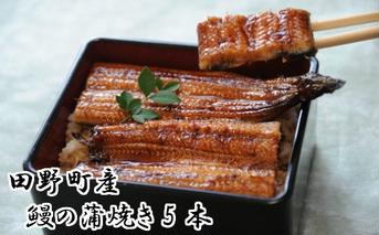 田野町産うなぎの蒲焼き（大）5本　タレ付き 山椒付き うなぎ 鰻 ウナギ 蒲焼き かば焼き 無頭 おいしい 国産 お取り寄せ 冷凍 配送