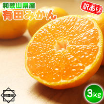 BL6171_【2025年先行予約】【産地直送】和歌山県産 有田みかん 3kg サイズ混合 【訳あり】