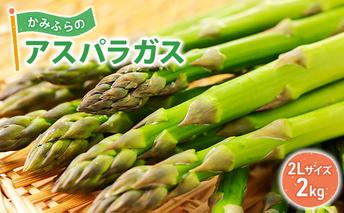 かみふらのアスパラガス 2Lサイズ 2kg 野菜 旬の野菜 北海道産 北海道野菜 国産 国産野菜 グルメ 食材 グリーンアスパラガス 