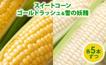 スイートコーン「ゴールドラッシュ5本 & 雪の妖精5本」 野菜 旬の野菜 北海道産 北海道野菜 国産 国産野菜 グルメ 食材 とうもろこし 