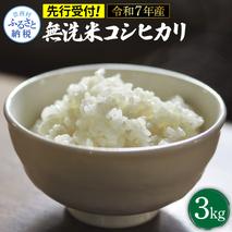 先行予約 令和7年産 無洗米コシヒカリ3キロ 3kg 米 白米 精米 新米 むせんまい こしひかり コシヒカリ ブランド米 おこめ こめ 飯 ご飯 ごはん おにぎり おいしい 常温 人気 ギフト