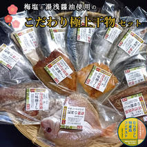 J6013n_梅塩と湯浅醤油で作った こだわりの極上干物セット（Aセット）【干物 魚の開き 味醂干し 魚 詰め合わせ 食べ比べ】