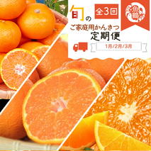 G60-T79_【定期便 全3回】紀州和歌山産旬のご家庭用柑橘セット（みかん・不知火・清見）