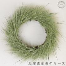 富良野 花七曜 北海道産麦のリース◆ ドライフラワーリース 