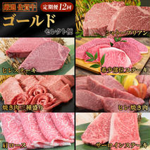 【特選定期便 全12回】 佐賀牛 ゴールドセレクト便【合計 11.7kg】【国産和牛 牛肉 肉 牛 ヒレ サーロイン シャトーブリアン 肩ロース ウデスライス ステーキ すき焼き しゃぶしゃぶ 焼肉】 (H085197)