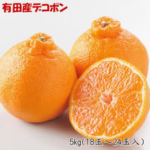 ZD7001_【お味濃厚】【2026年先行予約】紀州有田産 の デコポン 約5kg (18玉～24玉入り・青秀以上)