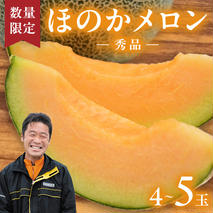 【先行予約 2026年5月下旬発送】  ほのかメロン 秀品（ 赤肉 ） 4玉 ～ 5玉 (2L～3L)  メロン 果物 フルーツ 甘い 茨城県 茨城県産 期間限定 数量限定 産地直送 農家直送 [AV001ya]