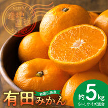 BL6500_【2025年先行予約】産地直送　和歌山県産 有田みかん 5kg