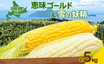 北海道 月浦 めぐみ ゴールド 雪の妖精 5kg 先行受付 8月中旬～9月中旬頃にお届け とうもろこしトウモロコシ とうきび コーン 恵味 スイート コーン 旬 野菜 朝採り 産地直送 青山農園 送料無料 洞爺湖 