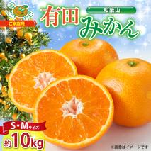 ZJ6077_【2025年先行予約】ご家庭用　和歌山 有田みかん 約10kg (S、Mサイズ)【湯浅町】
