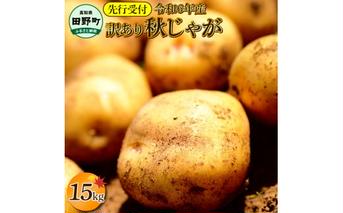 【四国一小さなまちのじゃがいも】★令和6年11月中旬発送開始★ 大野台地で採れた『 令和6年産 秋じゃが 』 15kg　～ 訳あり ～