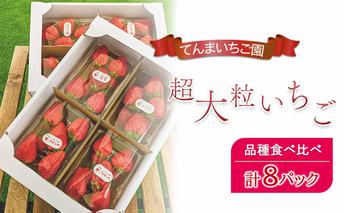 【予約受付】てんまいちご園　超大粒いちご 8パックセット　品種食べ比べボックス　いちご イチゴ 食べ比べ 超大粒 大粒 兵庫県 稲美町 果物類 苺 