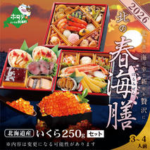 2026 お正月 北海道海鮮 おせち 北の春海膳 （はるみぜん） いくら醤油漬け（250g）【KS000DDNQ】( ふるさと納税 おせち ふるさと納税 おせち料理 ふるさと納税 お節 御節 海鮮 海鮮おせち )