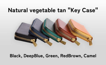 Key Case Deep Blue