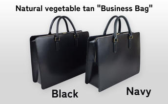 Business Bag Navy