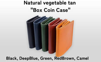 Box Coin Case Camel
