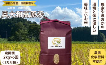 ★自然栽培米 ★定期便 毎月6回★新米 【令和6年産 】 玄米 2kg 9月末より順次発送 / 農家やまおか 自然栽培米 新米 令和6年産 玄米 無農薬 国産 お米 奈良県 宇陀市 ふるさと納税 送料無料
