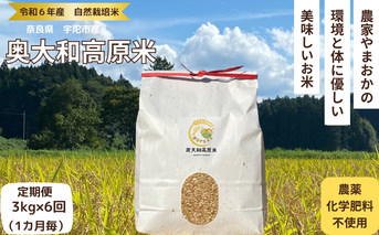 ★自然栽培米 ★定期便 毎月６回★新米 【令和7年産 】玄米 3kg /ふるさと納税 自然栽培米 新米 令和6年産 玄米 農家やまおか 無農薬 国産 お米 奈良県 宇陀市 送料無料  新米