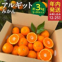 YA1000_完熟 アルギット みかん 3kg S～M サイズ