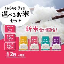 【9月上旬】コシヒカリ 20kg | 48000円
