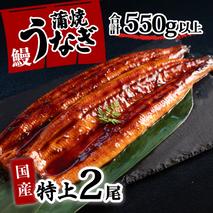 特上 国産うなぎ 蒲焼 2尾セット 【合計550g以上】 タレ・山椒付 ウナギ 鰻 うな重 ひつまぶし 人気 茨城 八千代町 ふるさと納税 冷凍 [SF140ya]