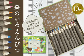 森のいろえんぴつ（色鉛筆 えんぴつ 色えんぴつ 鉛筆 文具 文房具 木材 お絵描き キッズ おもちゃ 知育 玩具 手作り自然 贈り物 プレゼント ギフト）