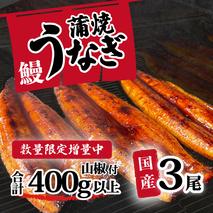 【 訳アリ 】【数量限定増量中】国産うなぎ 蒲焼き 3尾 セット ( 400g ) 大きさ の不揃い 山椒付き ウナギ 鰻 ふぞろい 不揃い うな重 ひつまぶし 人気 茨城 八千代町 ふるさと納税 冷凍 [SF142ya]
