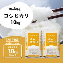 【スピード発送】コシヒカリ 10kg (5kgx2袋) 令和6年産 茨城県産 こしひかり 白米 精米 茨城県 八千代町 お米 米 [SF282yah]