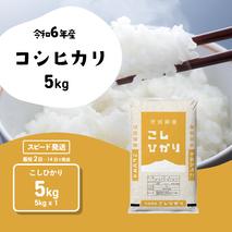 【スピード発送】コシヒカリ 5kg (5kgx1袋) 令和6年産 茨城県産 こしひかり 白米 精米 茨城県 八千代町 お米 米 [SF281yah]