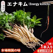 【3カ月定期便】【一子相伝】秘伝のエナキム(高麗人参スプラウト・キムチ)1袋1本入り【本場の味 秘伝の味 韓国 ピリ辛 健康志向 滋養強壮】(H104143)