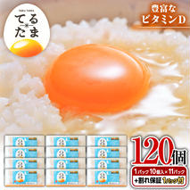 てるたま 白 10個入×11パック（割れ補償1パックサービス付）卵 玉子 ブランド卵 栄養 健康 卵かけご飯 厚焼き玉子 たまご焼き 目玉焼き ゆで卵 [DA002ya]