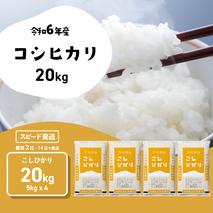 【スピード発送】コシヒカリ 20kg (5kgx4袋) 令和6年産 茨城県産 こしひかり 白米 精米 茨城県 八千代町 お米 米 [SF283yah]