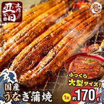 G7312_【土用の丑の日】＜10月23日までにお届け＞ふっくら柔らか 国産うなぎ蒲焼き 1尾