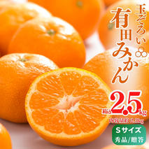 MK1001_【2025年先行予約】みかん Ｓサイズ 秀品 箱込 2.5kg ( 内容量 2.3kg ) 有田みかん 濃厚 甘み 濃縮 温暖 好条件 和歌山県産 産地直送 贈答用 贈り物 ギフト のし対応 フルーツ デザート 和歌山県 湯浅 お取り寄せ お取り寄せフルーツ 送料無料 みかんの会