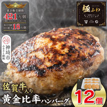佐賀牛入りハンバーグ 120g×12個【佐賀牛 国産 冷凍】(H083104)