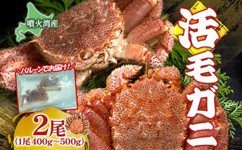 北海道 噴火湾産 活毛がに 2尾 （1尾400g～500g） 2025年6月下旬～7月中旬頃お届け 先行受付 北海道産 旬 新鮮 毛がに かに カニ 蟹 毛ガニ 毛蟹 カニ味噌 天然 噴火湾 産地直送 お取り寄せ 贈答 冷蔵 洞爺湖町