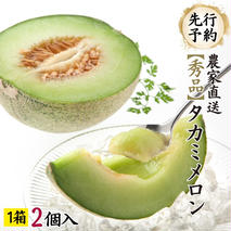 【先行予約 2026年6月中旬発送】  タカミメロン 秀品 1箱 2玉入り 期間限定 産地直送 果物 フルーツ メロン 青肉 甘い[AV010ya]