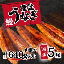 【 訳アリ 】 国産うなぎ 蒲焼き 5尾 セット ( 640g 以上) 大きさ の不揃い 山椒付き ウナギ 鰻 ふぞろい 不揃い うな重 ひつまぶし 人気 茨城 八千代町 ふるさと納税 冷凍 [SF143ya]