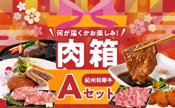 BN6134_お楽しみ肉箱 Aセット お試し ドキドキ 黒毛和牛 ハンバーグ メンチカツ ステーキ ロース ヒレ 焼肉 すき焼き しゃぶしゃぶ 盛り合わせ コロッケ ローストビーフ 食品 和歌山県 湯浅町 送料無料