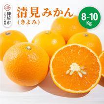 【2026年3月中旬より発送開始】清見(きよみ)みかん 8kg～10kg【みかん オレンジ 柑橘 フルーツ デザート】(H116139)