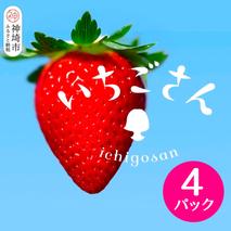 【2026年1月上旬より発送開始】いちごさん4パック【果物 くだもの フルーツ イチゴ 苺 佐賀】(H116133)